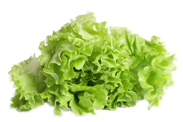 Салат из салата . — стоковое фото