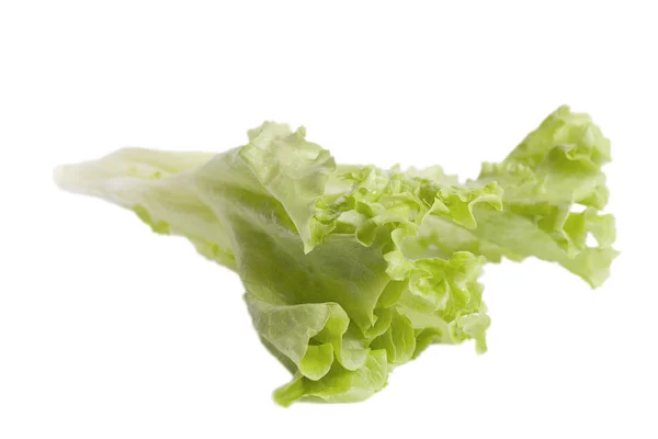 Marul salatası. — Stok fotoğraf