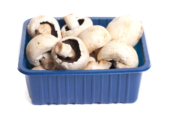 stock image Mushrooms in the box.