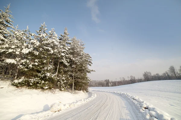 Winter road. — Stock Photo, Image