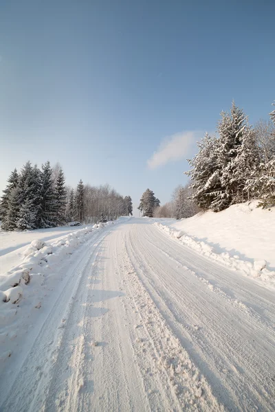 Route d'hiver. — Photo