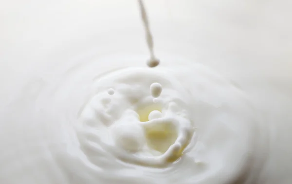 Splash of milk. — Stock Photo, Image