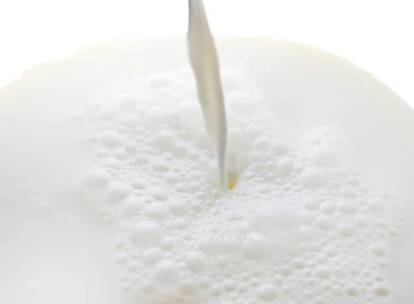 Splash of milk. — Stock Photo, Image