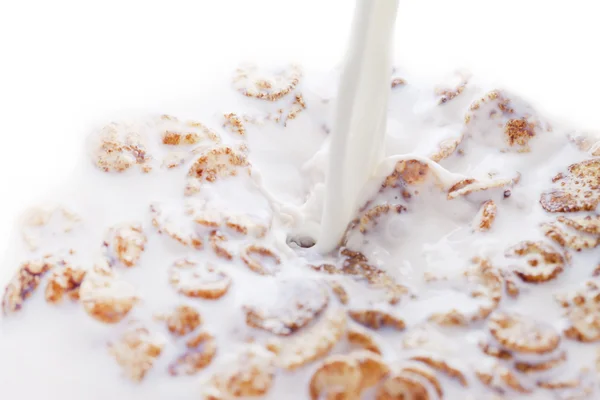 Milk and flakes. — Stock Photo, Image