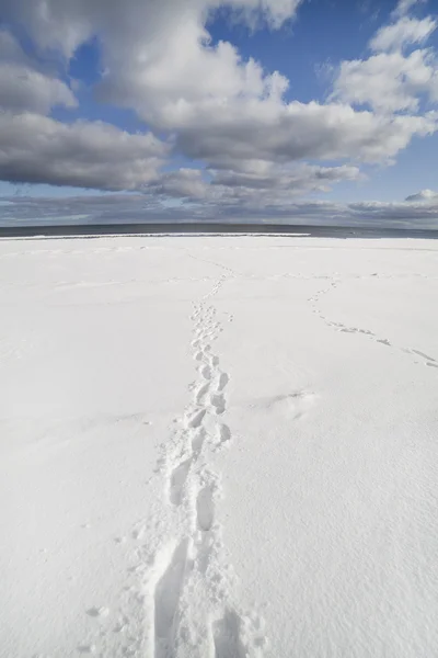 雪に覆われた海沿岸. — ストック写真