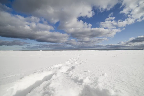 雪に覆われた海沿岸. — ストック写真