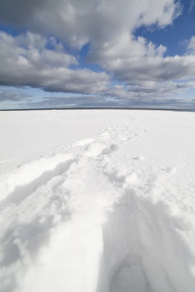 Snowy sea coast. — Stock Photo, Image