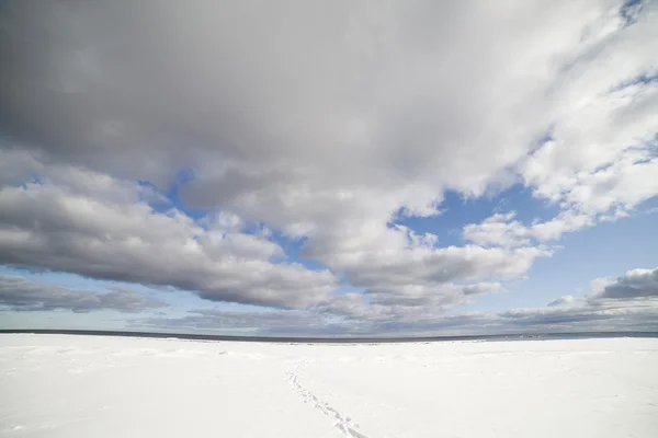 Snowy morzem. — Zdjęcie stockowe