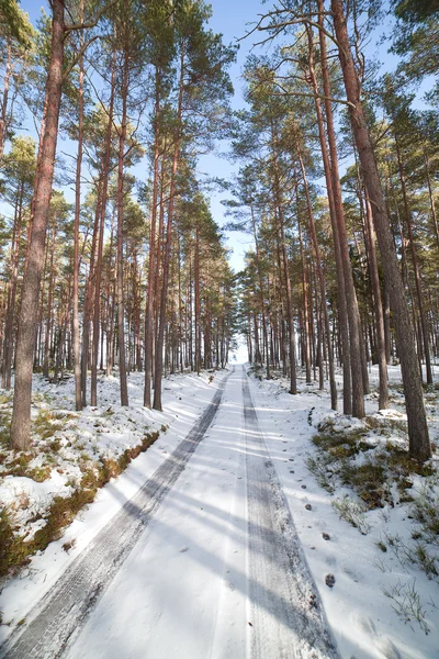 Зимняя дорога. — стоковое фото