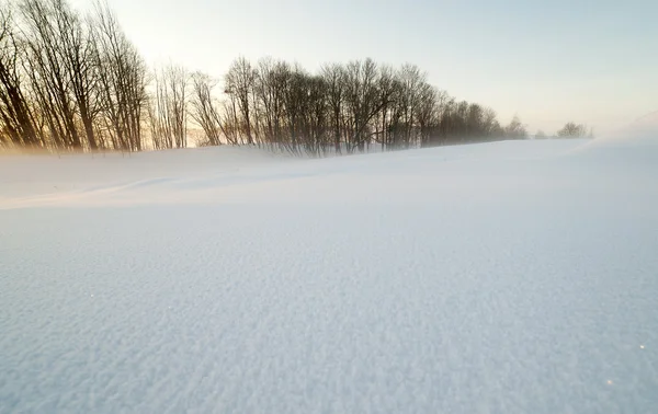 Sonnenaufgang im Winter. — Stockfoto