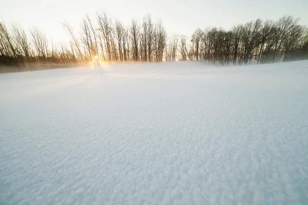 Východ slunce v zimě. — Stock fotografie