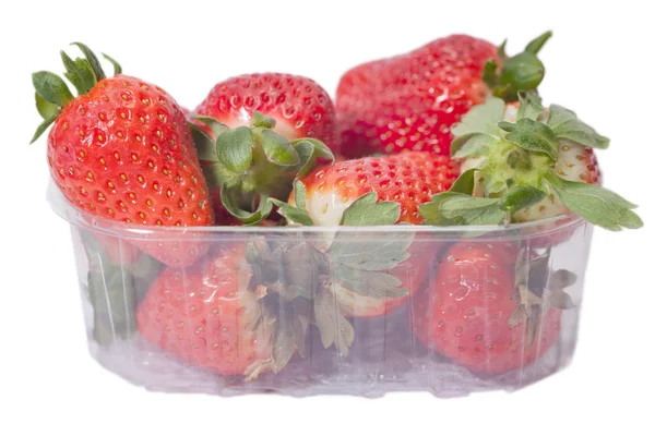 Erdbeeren im Karton. — Stockfoto