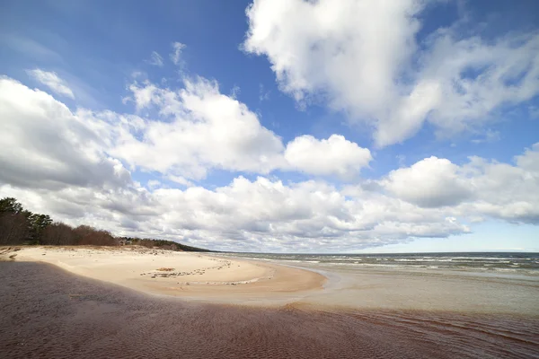 Baltische Zeekust. — Stockfoto