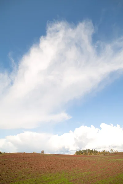 Nuvens e campo . — Fotografia de Stock