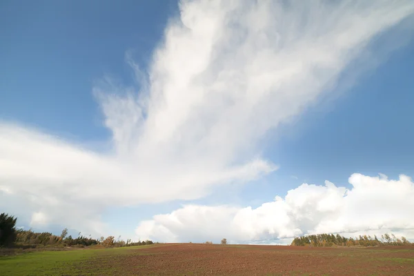 Облака и поле . — стоковое фото
