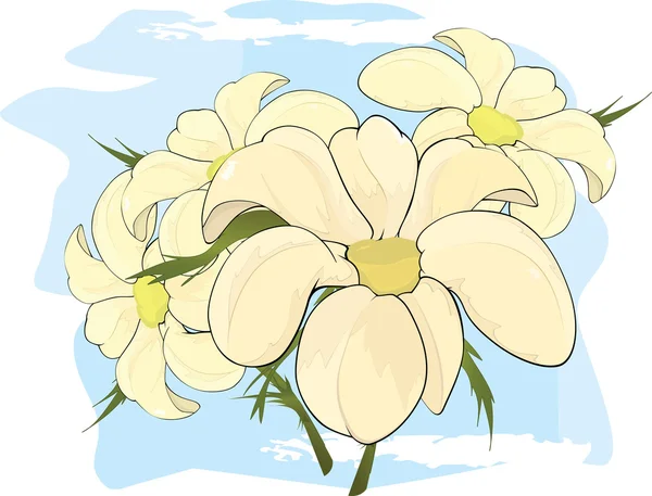 Bouquet of chamomiles. Cartoon — Stock Vector