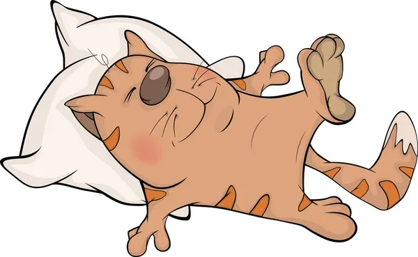 猫和一个枕头。卡通 — 图库矢量图片
