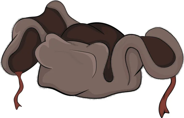 Vintermössa. en mössa med öronlappar. Cartoon — Stock vektor