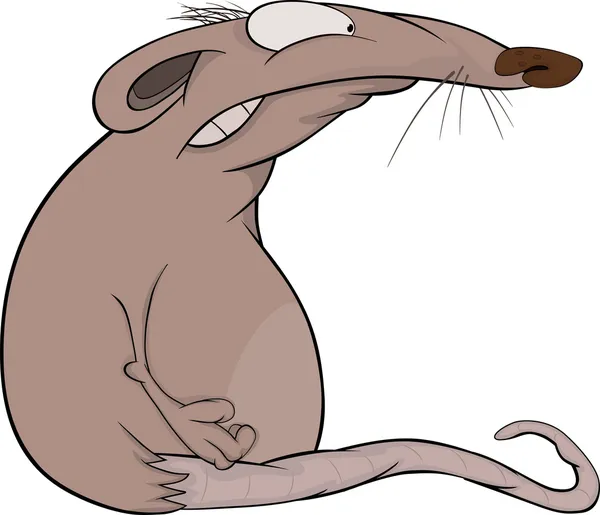 House rat. Cartoon — Stock Vector