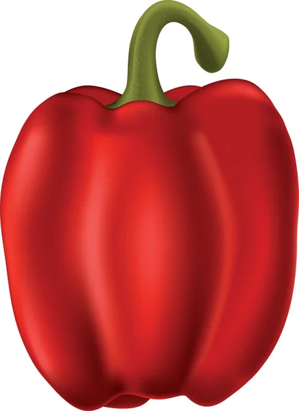 Paprika zeleninová — Stockový vektor