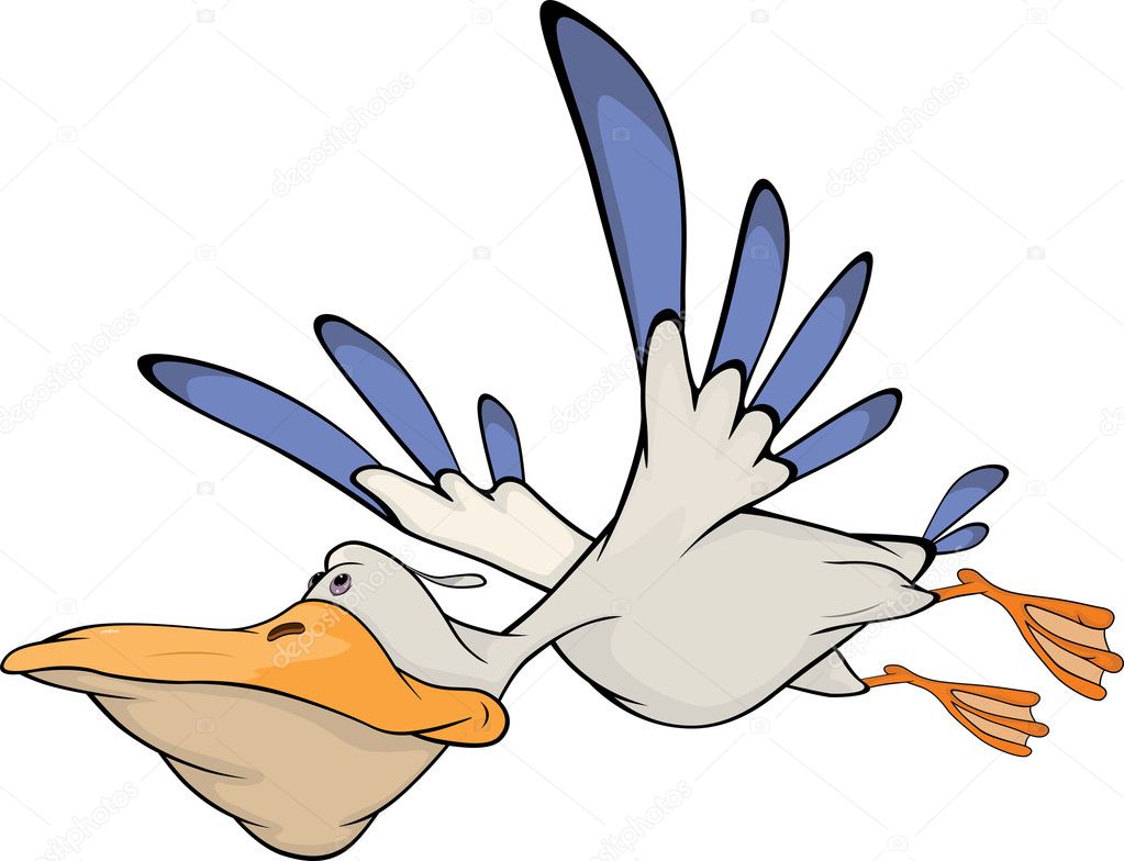 Pelican. Cartoon