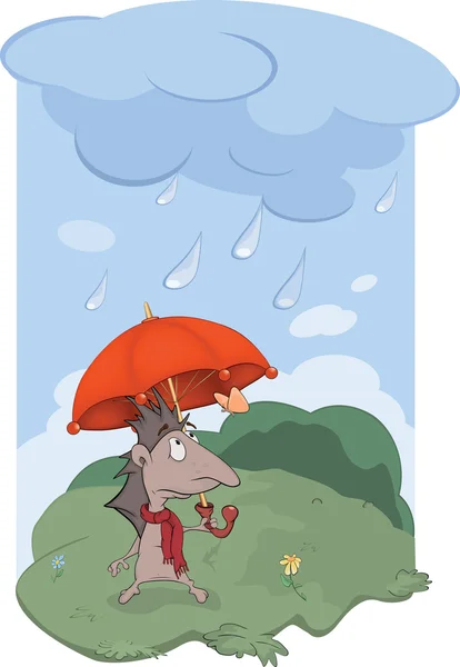 Igelkott, ett regn och butterfly.cartoon — Stock vektor