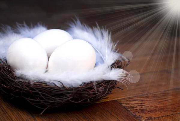 Easter eggs in the nest — Stock Photo, Image