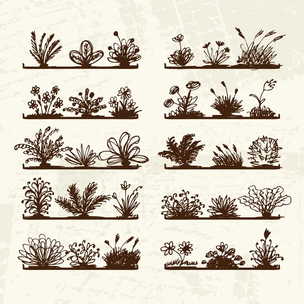 Náčrt rostlin na policích za váš design — Stockový vektor