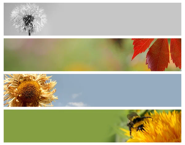 Nature banners for your design — Stock Photo, Image