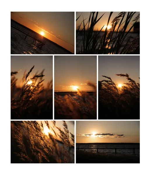 stock image Sunset collection for your design