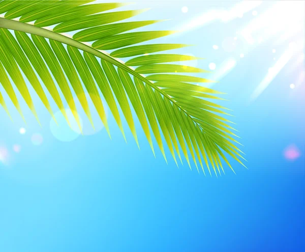 Fondo de verano tropical — Vector de stock