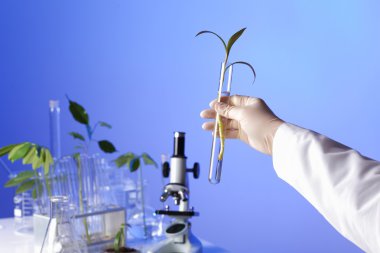 Green plants in biology laborotary clipart