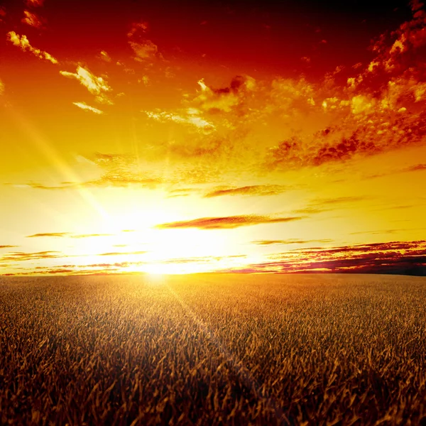 Krajobrazu wiejskiego i świeci słońce — Zdjęcie stockowe
