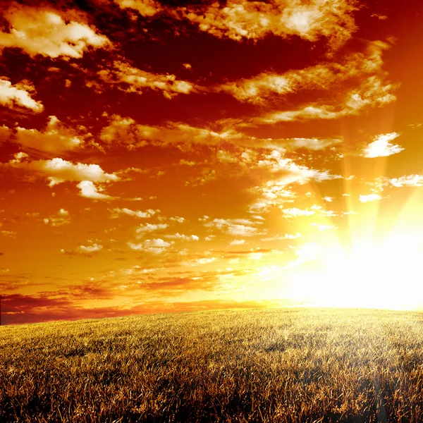 Сільський пейзаж і сяюче сонце — стокове фото