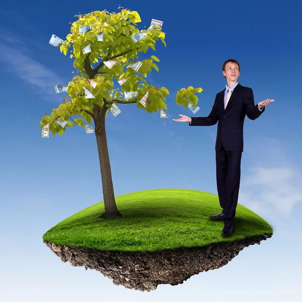Pengar träd och unga företag mans — Stockfoto