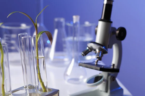 Yeşil bitki Biyoloji laborotary içinde — Stok fotoğraf