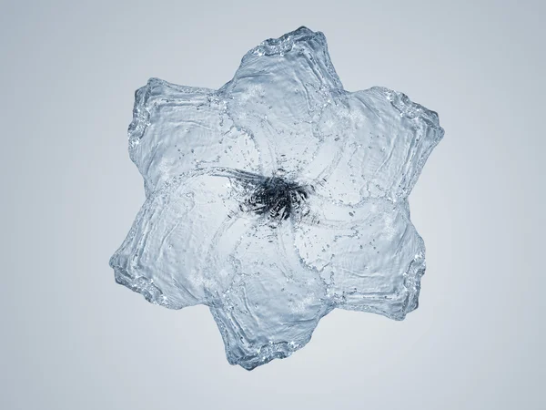 Květina z vody — Stock fotografie