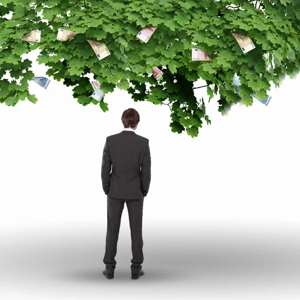 Para ağacını ve genç iş mans — Stok fotoğraf