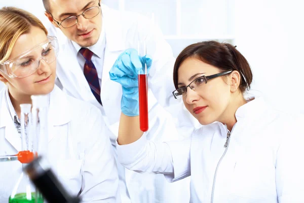 Scientists in laboratory — Stock Photo, Image