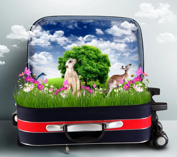 Roter Koffer mit grüner Natur im Inneren — Stockfoto