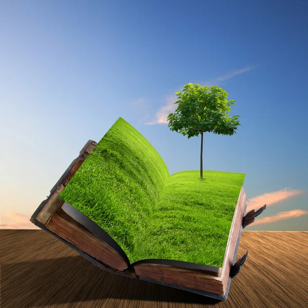 Книга с зеленым пейзажем внутри — стоковое фото