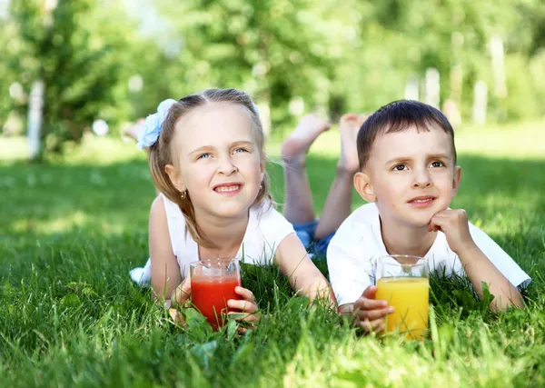 Hermano pequeño y hermana en el parque de verano —  Fotos de Stock