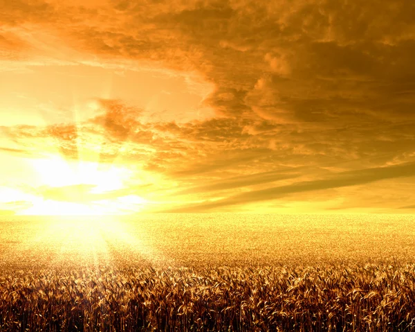 Сельский пейзаж и сияющее солнце — стоковое фото