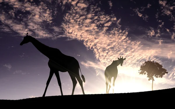 stock image African animals in savannah