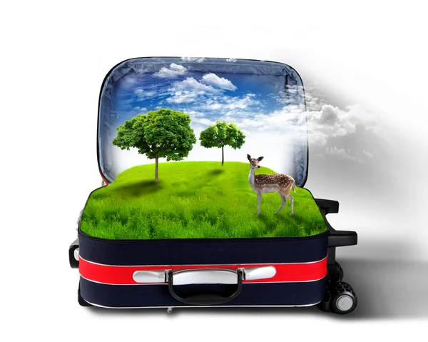 stock image Red suitcase with green nature inside