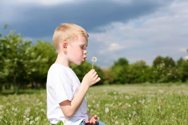 Litlle fiú pitypang — Stock Fotó