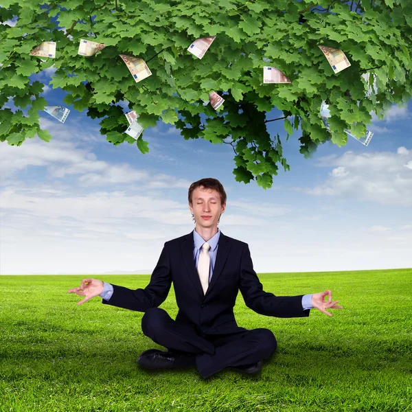 Money tree and young business mans — Stock Photo, Image