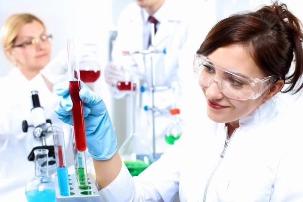 Scientists in laboratory Stock Image