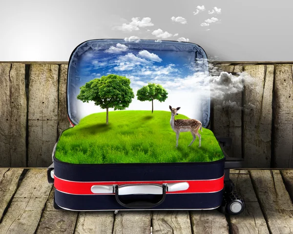 Červený kufr s zelenou přírodou uvnitř — Stock fotografie
