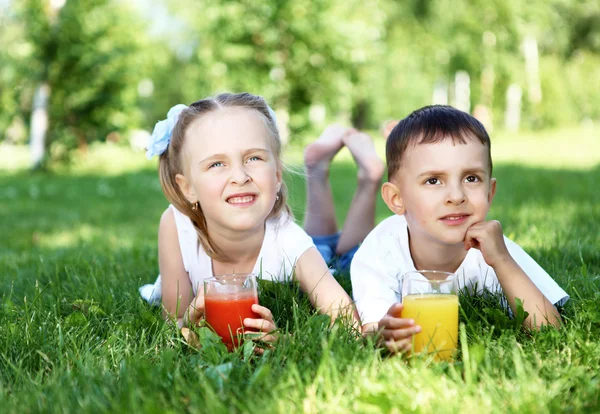 Little brother and sister in summer park — Stock Photo, Image